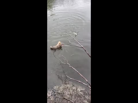 Video Trouble and Helping a Little Boy to Become a Man... A Good Man... Thumbnail