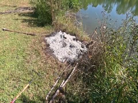 Bees, Hornets, and Washing Down Dock Pilings. Some Easy, Some Not So Easy... Thumbnail