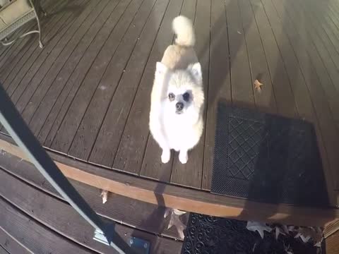 Finally... Someone who does EXACTLY what they said they'd do... Thumbnail