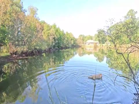 My very FIRST Largemouth Bass Report. The First of a Continuing Saga... Thumbnail