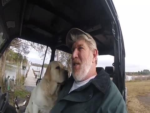 A Couple Phony SEALs, a Blue Jay, and Goose Season Prep for the Grandson. Thumbnail