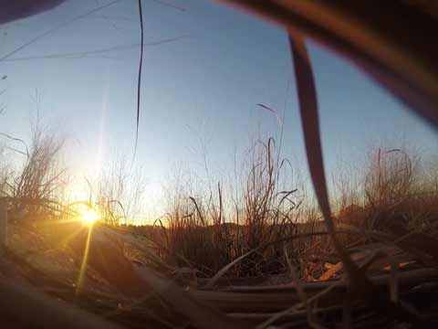 Grand National Waterfowl Association 2015 Duck and Goose Hunt.  Thumbnail
